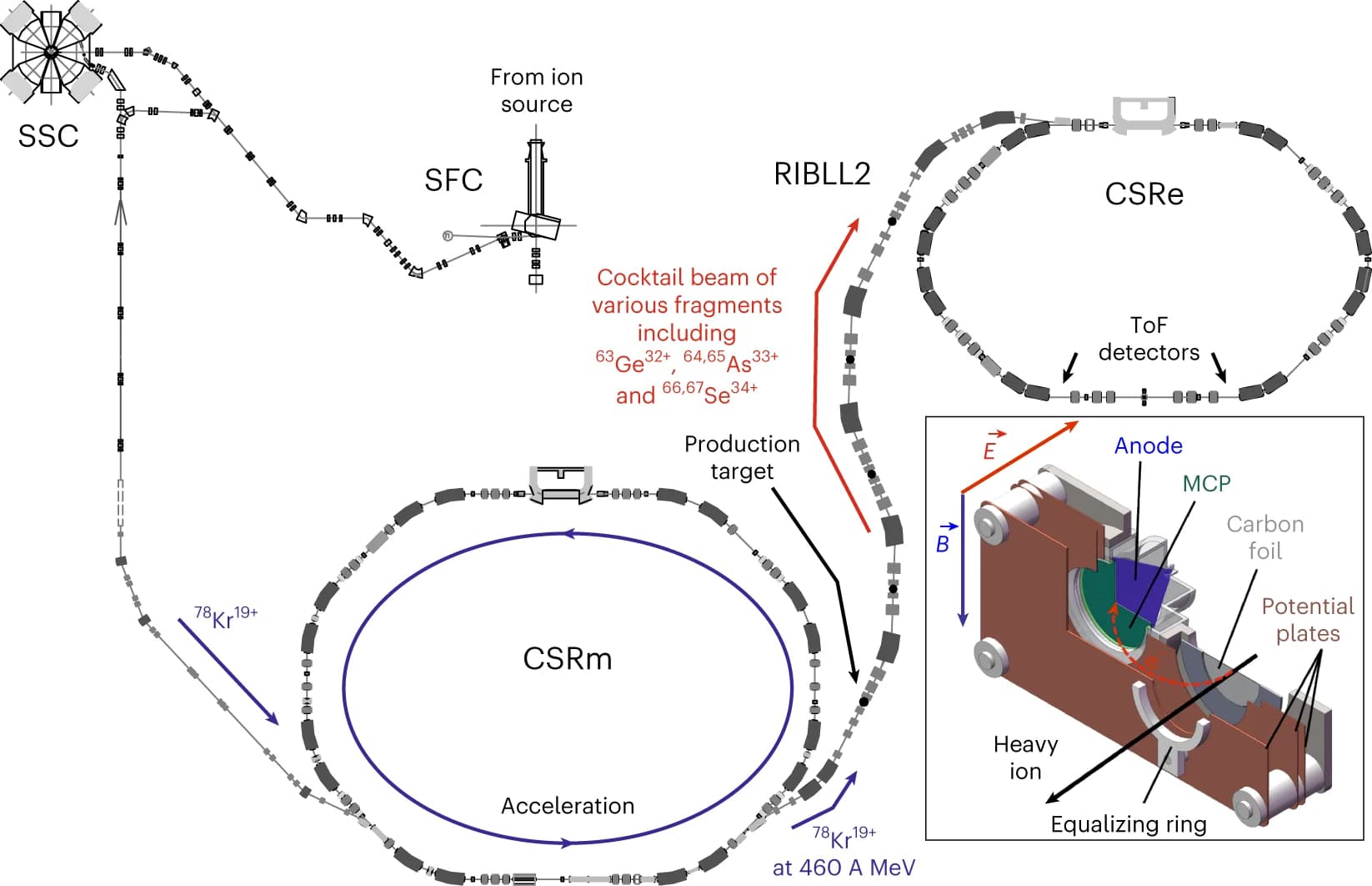 Open access visualization of Illustration, Flowchart, Cyclotron, Heavy-ion synchrotron, Exotic nuclei