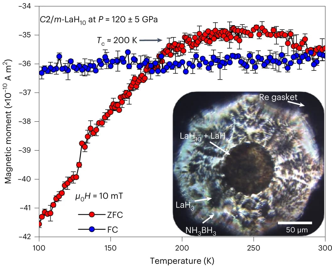 Open access visualization of Line Plot, Error Bars, Microscopy, ZFC, FC