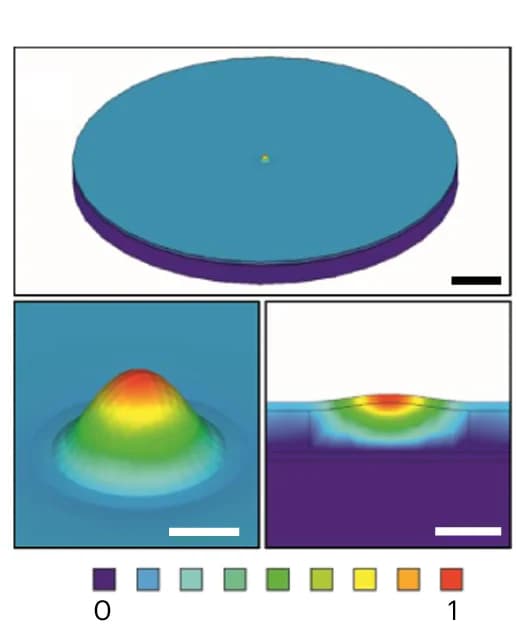Open access visualization of 3D Plot, Simulation, Out-of-Plane Displacement, Isotropic View, Surface Undulation