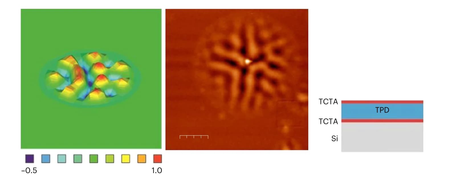 Open access visualization of Microscopy, Illustration, Simulation, Wrinkled Pattern, Neo-Hookean Model