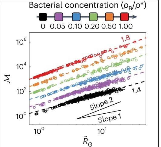 Open access visualization of Scatter Plot, Regression Plot, Fractal Dimension, Colloidal Aggregates, Radius