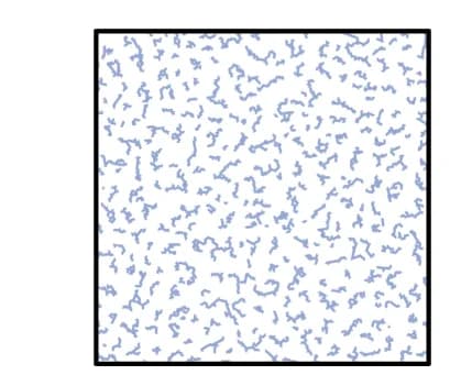 Open access visualization of Microscopy, Simulation, Minimal Model, Thermal