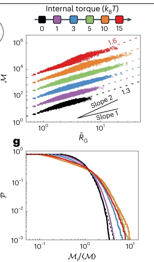 Open access visualization of Scatter Plot, Line Plot, Fractal Dimension, Colloidal Aggregates, Simulation