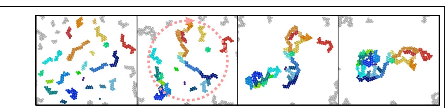 Open access visualization of Scatter Plot, Aggregates, Rotation, Folding, Active Bath