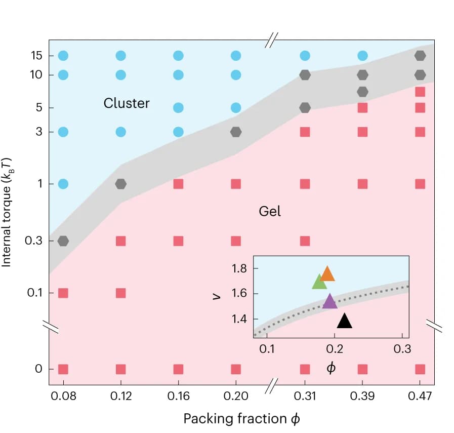 Open access visualization of Scatter Plot, Line Plot, Colloidal Aggregation, Internal Torques, Surface Fractions