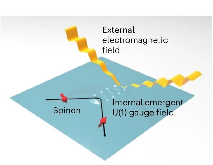 Open access visualization of Illustration, Spinons, Electromagnetic Field, Gauge Field