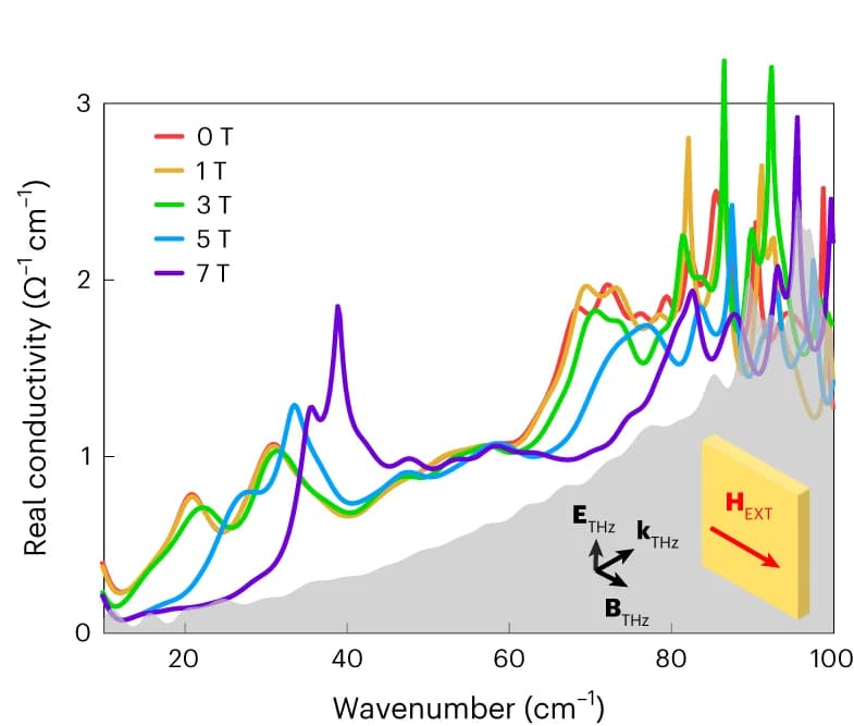 Open access visualization of Line Plot, Optical Conductivity, Magnetic Field, Temperature, Crystal