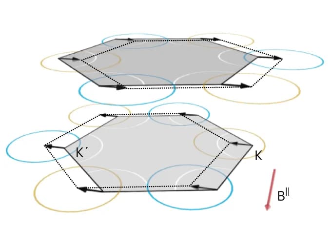 Open access visualization of Illustration, Flowchart, MoS 2, Fermi Surface