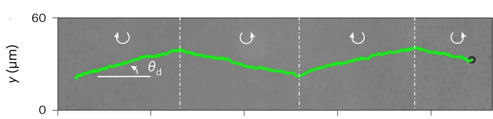 Open access visualization of Microscopy, Line Plot, Colloidal Particle, Micellar Solution
