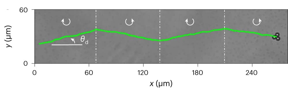 Open access visualization of Line Plot, Microscopy, Colloidal Trimer, Micellar Solution