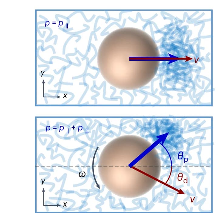 Open access visualization of Illustration, Colloidal Particle, Viscoelastic Fluid, Density Gradient, Density Dipole