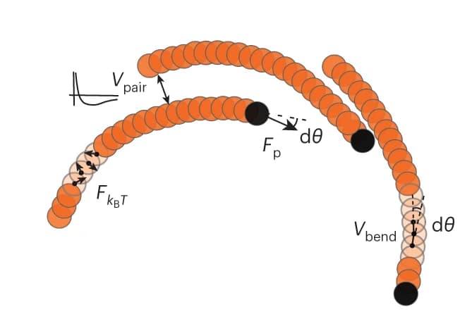 Open access visualization of Illustration, Simulation Model