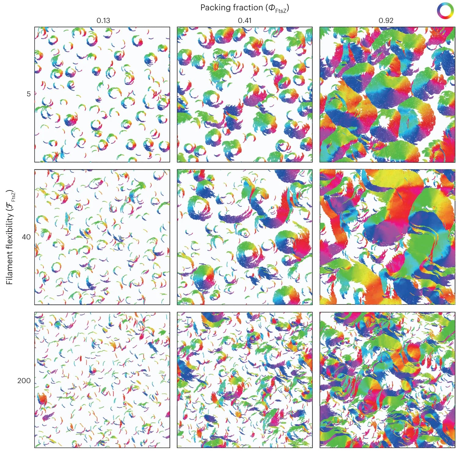 Open access visualization of Scatter Plot, Phase Diagram, Large-Scale Patterns, Filament Flexibility, Filament Density