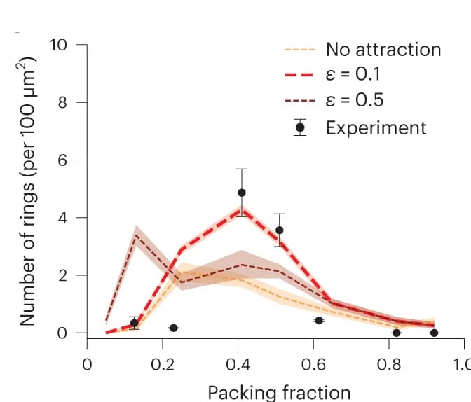 Open access visualization of Line Plot, Error Bars, Ring Density, Ring Diameter, Simulations