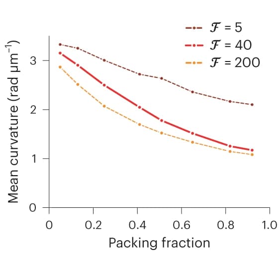 Open access visualization of Line Plot, Filament Curvature, Density, Simulations