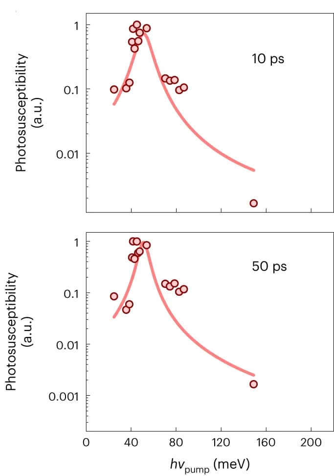 Open access visualization of Scatter Plot, Line Plot, Photo-susceptibility, Spectral weight, Photo-excitation