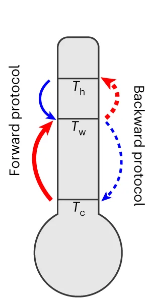 Open access visualization of Illustration, Experimental Protocols, Thermal Equilibrium, Heating, Cooling
