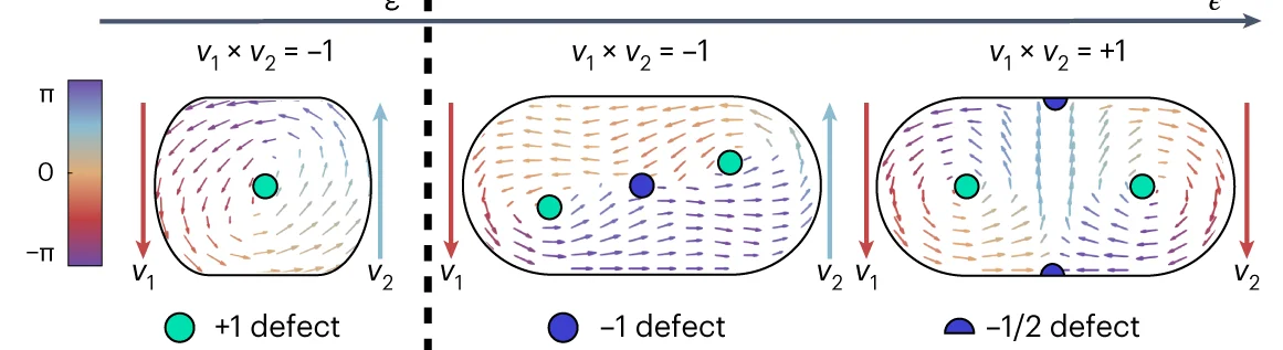 Open access visualization of Illustration, TonerTu Equations, Cigar-Shaped Boxes, Aspect Ratio, Simulation