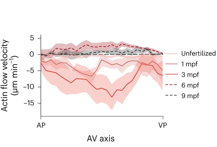 Open access visualization of Line Plot, Error Bars, Actin Flow Velocity, CP Initiation, CP Expansion