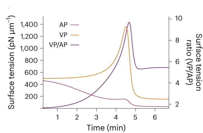 Open access visualization of Line Plot, Surface Tension, Model Prediction