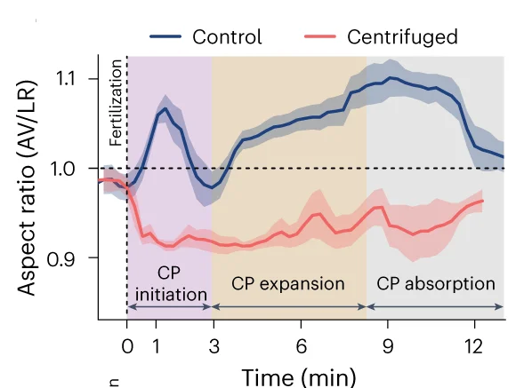 Open access visualization of Line Plot, Error Bars, AR, Control, Centrifuged Oocytes