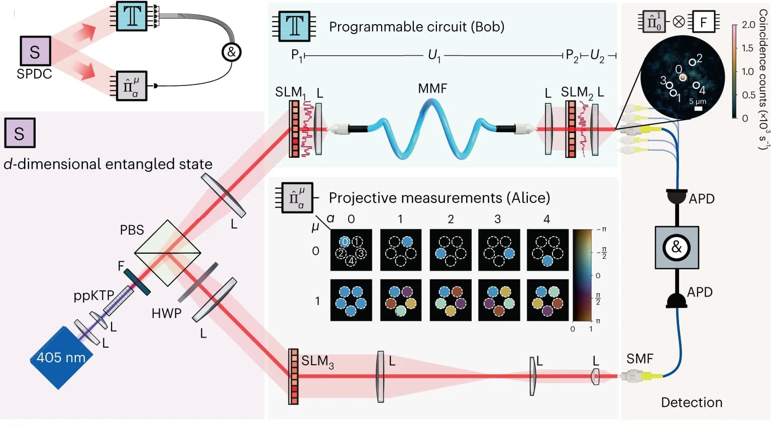 Open access visualization of Workflow, Illustration, Heatmap, Microscopy, Two-Photon State