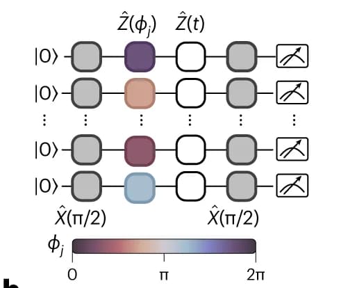 Open access visualization of Workflow, Flowchart, Site-Resolved Phase Shifts, Ramsey Interrogation, Atom Array
