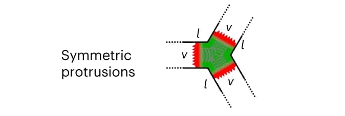 Open access visualization of Illustration, Symmetric Spreading, Arms, Flow