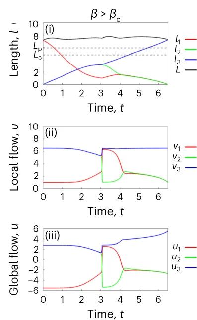 Open access visualization of Line Plot, Cell Migration, Junction, Arms, Time Series