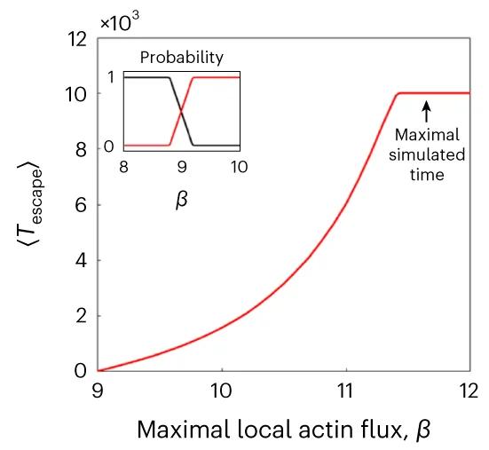 Open access visualization of Line Plot, Line Step, Mean Escape Time, Cell Migration, Junction