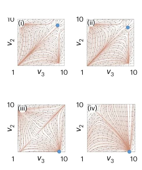 Open access visualization of Line Plot, Flow Fields, Slow Process, Metastable Solution, Cellular Dynamics