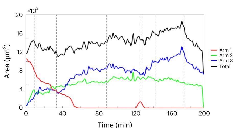Open access visualization of Line Plot, Time Series, Arm Lengths, hGPC, Metastable Slow Process