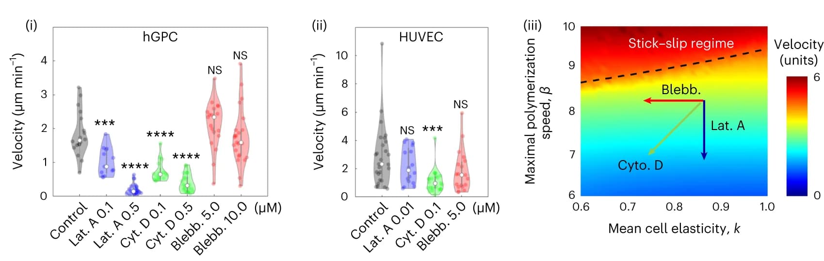 Open access visualization of Violin Plot, Heatmap, Velocity, One-Dimensional Migration, hGPCs