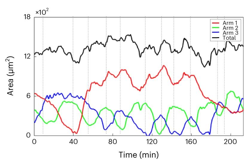 Open access visualization of Line Plot, Experimental Time Series, Cellular Arms, hGPC, Cell Length