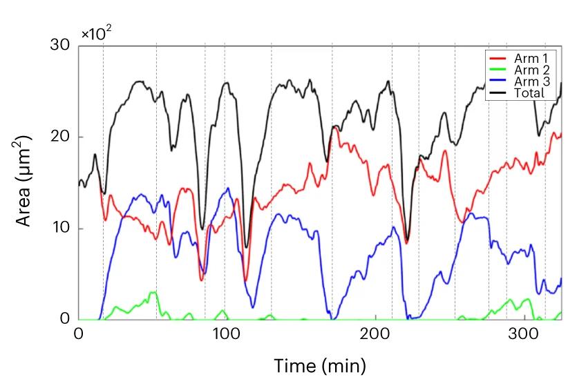 Open access visualization of Line Plot, Experimental Time Series, Cellular Arms, HUVEC, Cell Length