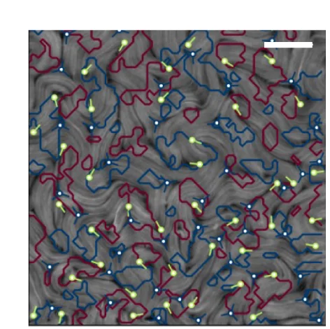 Open access visualization of Microscopy, Confocal Microscopy, Active Film, Defects, Q Criterion