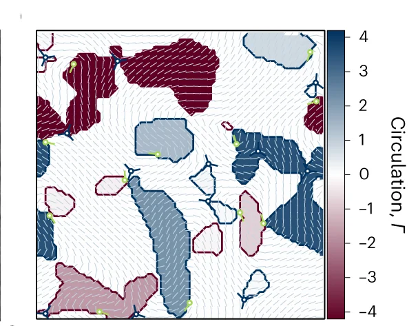 Open access visualization of Heatmap, Numerical Simulations, Active Turbulence, Vortex, Nematic Director Field
