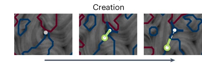 Open access visualization of Workflow, Illustration, Experimental Snapshots, Pair Creation, Microtubule/Kinesin Film