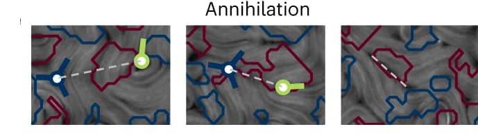 Open access visualization of Illustration, Experimental Snapshots, Pair Annihilation, Annihilation