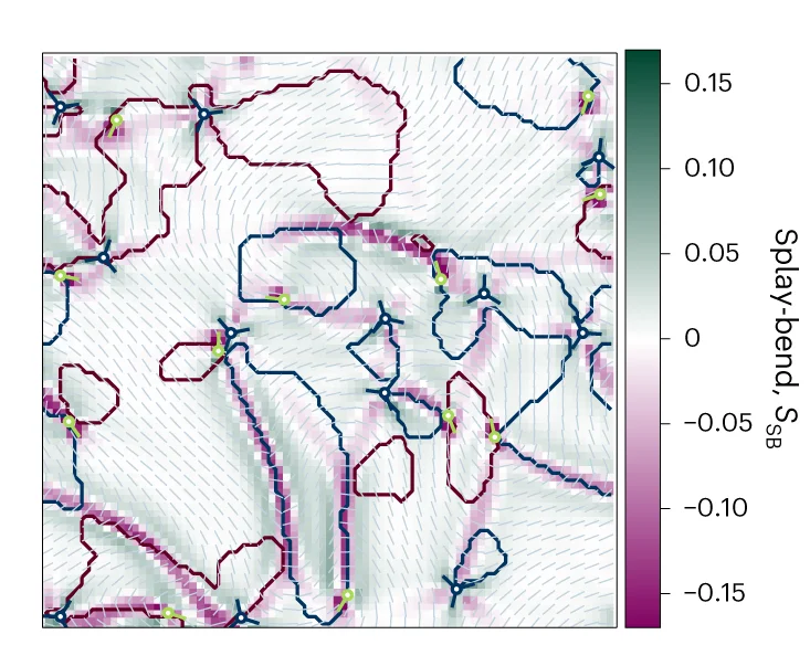 Open access visualization of Heatmap, Network, Splay-Bend Parameter, Bend Walls, Color Map