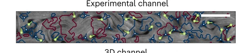 Open access visualization of Microscopy, Experimental Verification, Self-Constraint, Confined Channel, Scale Bar
