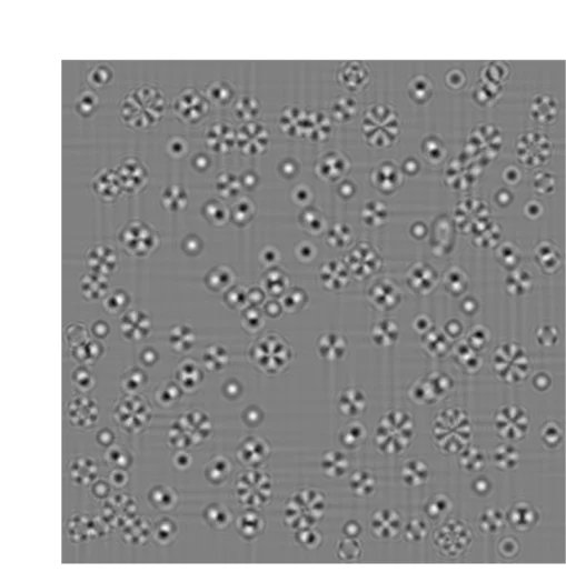 Open access visualization of Microscopy, Magnetic Simulations, LTEM Image