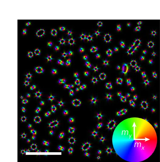 Open access visualization of Microscopy, Magnetic Induction Map, SKs, ASKs, Topological Charge