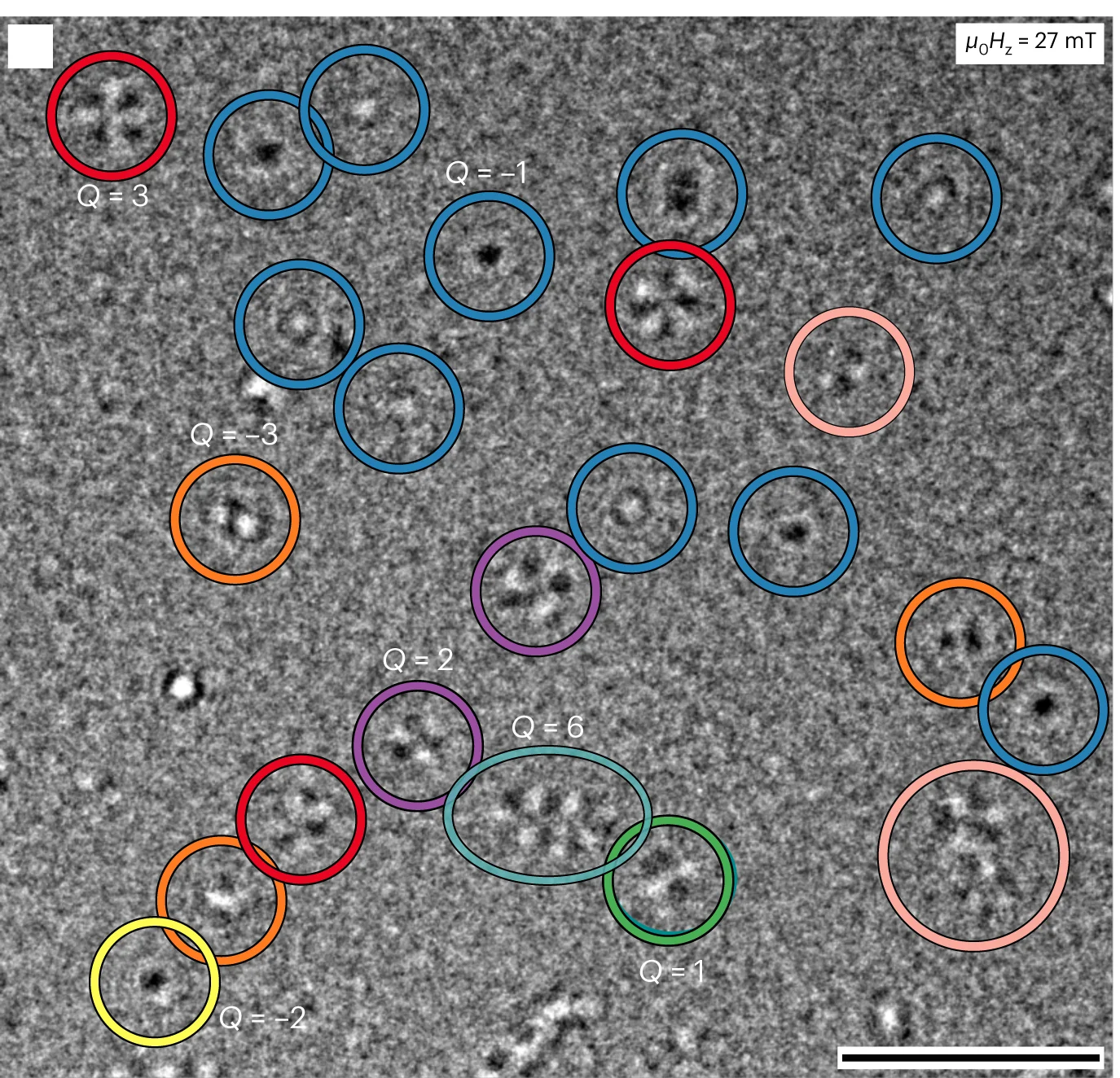 Open access visualization of Microscopy, LTEM Image, Spin Objects, Magnetic Field, Multilayer Sample