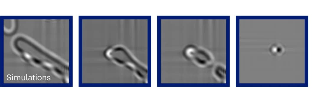 Open access visualization of Microscopy, LTEM Images, Co/Ni Multilayers, Q = -2 SK, Simulation