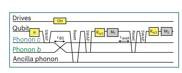 Open access visualization of Workflow, Flowchart, Pulse Sequence, Tomography
