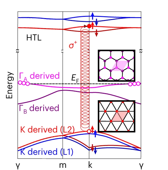 Open access visualization of Line Plot, Schematic, Band Structure, Moire Brillouin Zone, DFT Calculations
