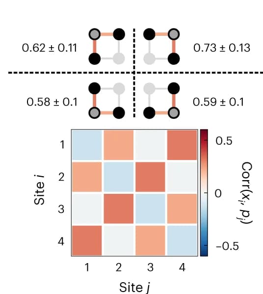 Open access visualization of Heatmap, Network, Variances, Nullifiers, Correlation Matrix
