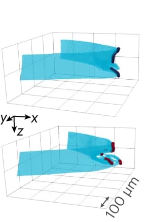 Open access visualization of 3D Plot, Crack Front, Applied Strain