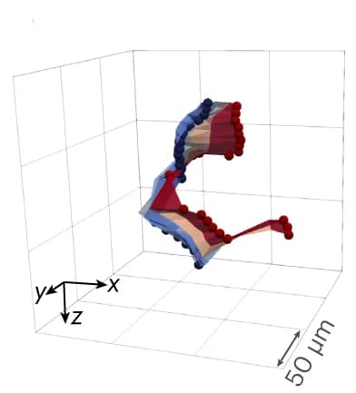 Open access visualization of 3D Plot, Crack Tip, Applied Strain, Curves